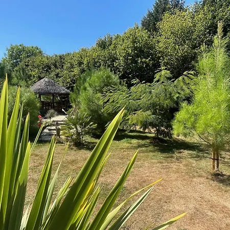 Exotisme Au Rendez-vous Chez Nous Saint-Ouen-le-Pin